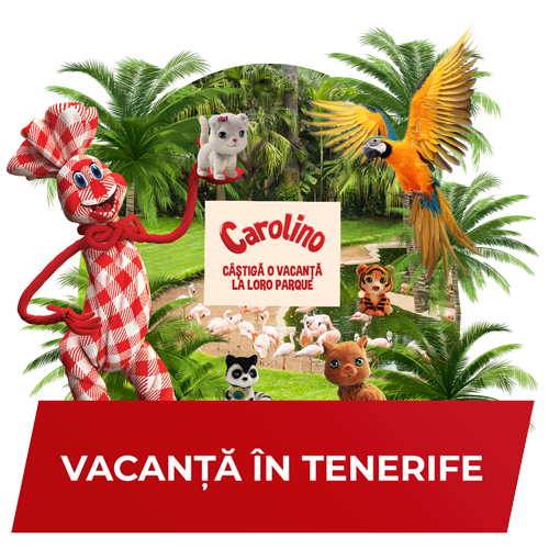 Vacanță în Tenerife