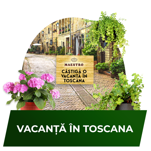 Vacanță în Italia - Toscana